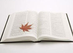 奥地利队客场取分，继续保持不败