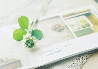 勒沃库森中场核心受伤，或将缺席接下来几场比赛